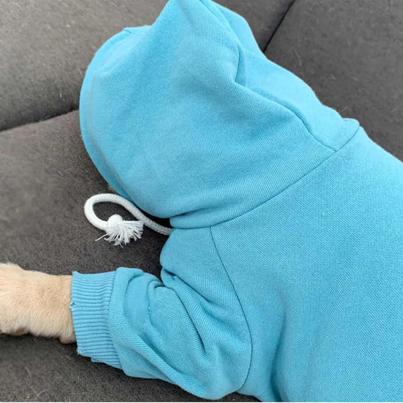 Pet with fleece hoodie