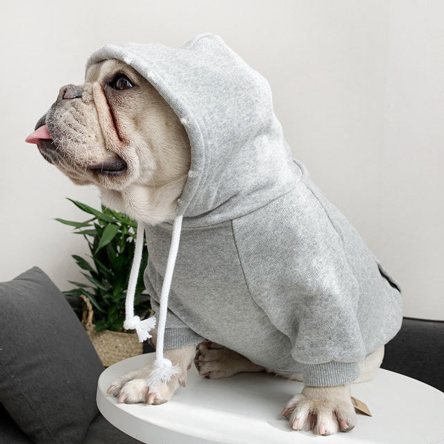 Pet with fleece hoodie