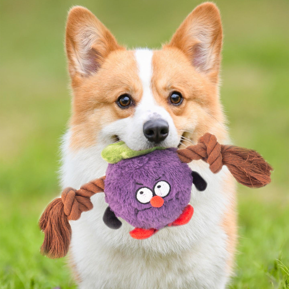 Interactive Dog Toy Plush Rope Knot Tug Of War Game Bb Bite Resistant Molar Tooth Toy