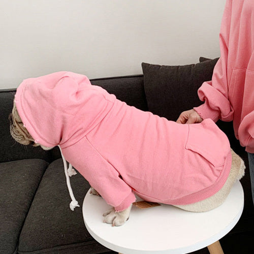 Pet with fleece hoodie