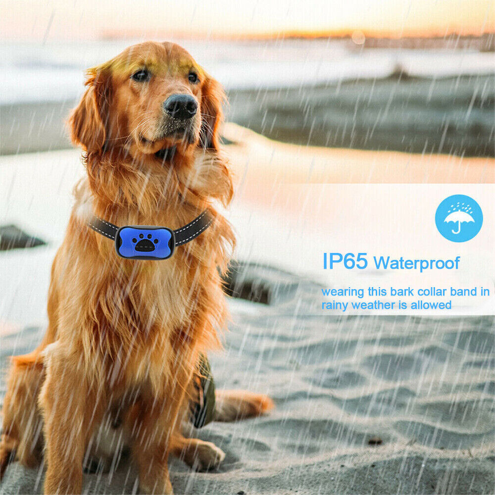 Anti Bell Collar Dog Training Collar Sound Vibration, For Dogs Pet