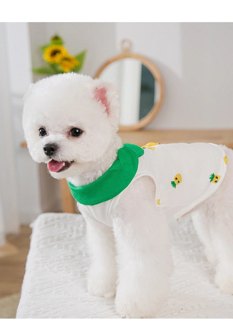 Fashion Cute Cartoon Pet Autumn And Winter Clothes