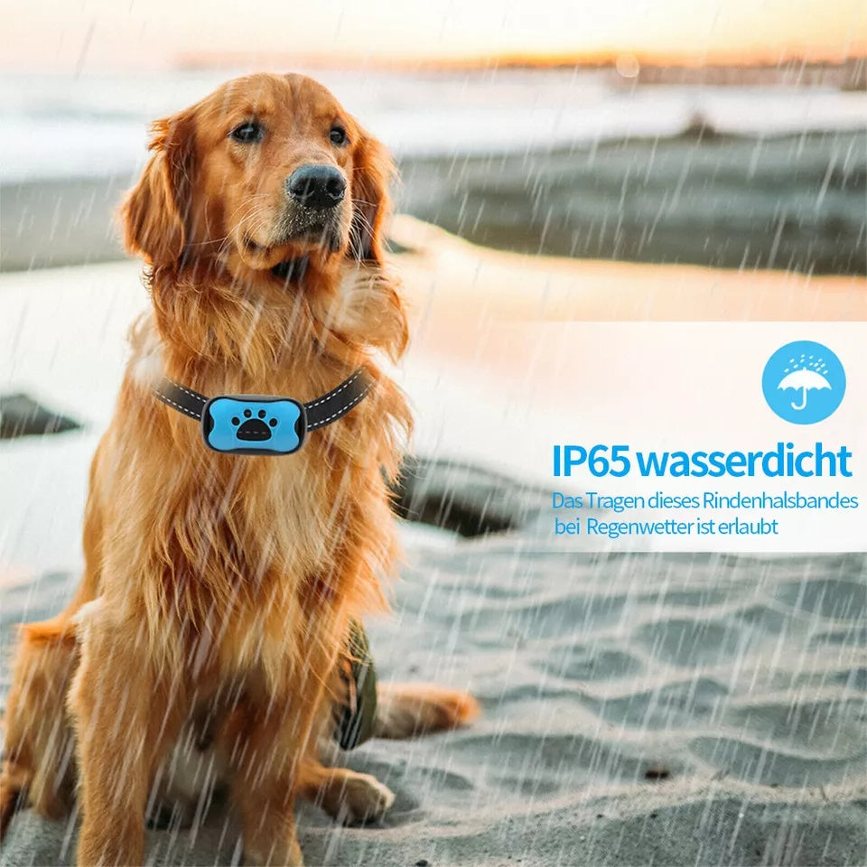 Anti Bell Collar Dog Training Collar Sound Vibration, For Dogs Pet